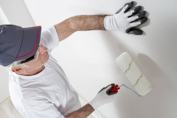 Best Post-Construction Mold Inspection  in Morristown, IN