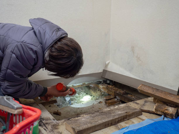 Best Post-Remediation Verification Testing  in Morristown, IN