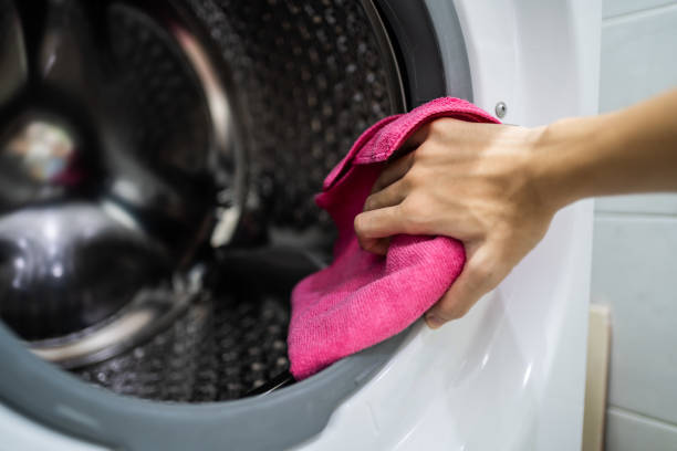 Best Mold Prevention Services  in Morristown, IN