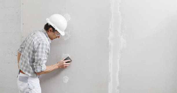 Best Real Estate Mold Inspection  in Morristown, IN
