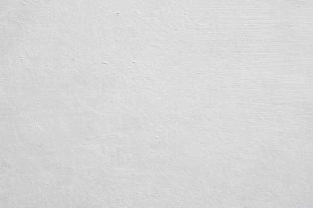 Best Biohazard Mold Removal  in Morristown, IN