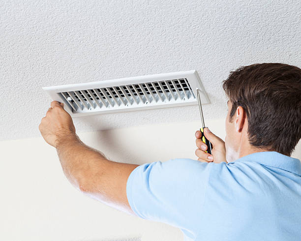 Best Mold Prevention Services  in Morristown, IN