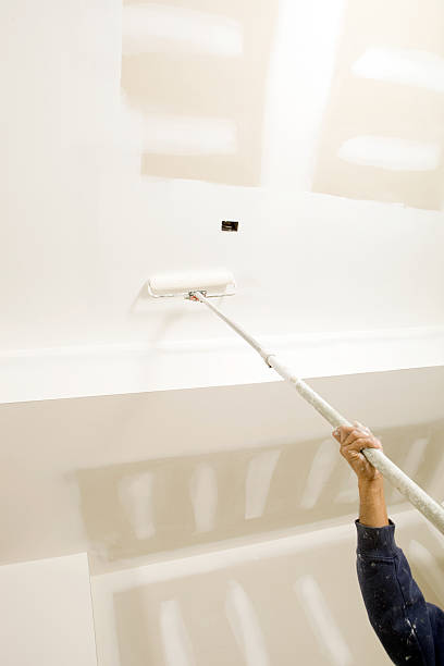 Best Mold Damage Restoration  in Morristown, IN