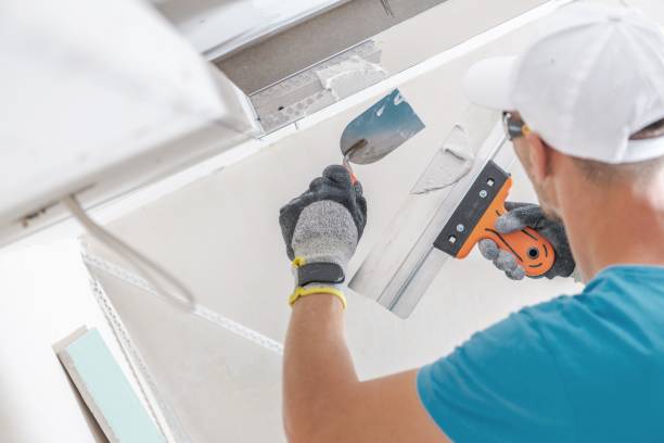 Best Emergency Mold Remediation  in Morristown, IN